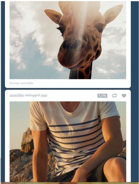 morning picdump 60 pics 29.html - 60 HD Photos | Premium Gallery 2012