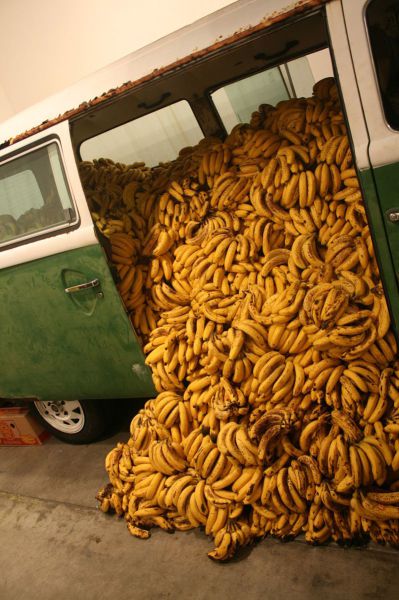 morning picdump 51 pics 9.html - 51 HD Photos | Premium Gallery 2012