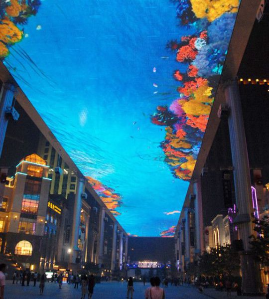 morning picdump 51 pics 9.html - 51 HD Photos | Premium Gallery 2012