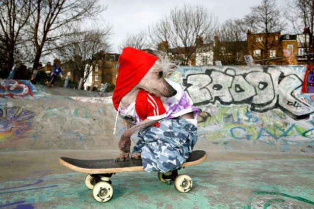 daily picdump 90 pics 36.html - 90 HD Photos | Premium Gallery 2012