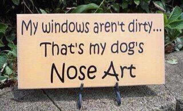 daily picdump 90 pics 36.html - 90 HD Photos | Premium Gallery 2012