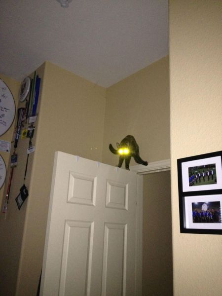 daily picdump 90 pics 36.html - 90 HD Photos | Premium Gallery 2012