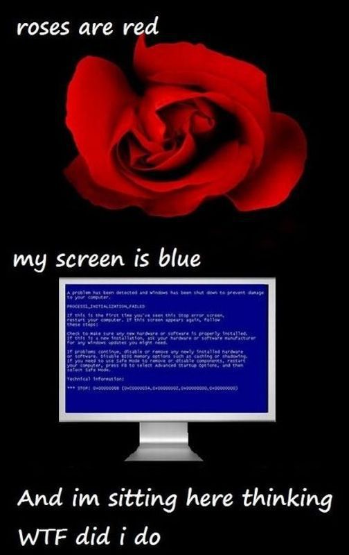 daily picdump 90 pics 36.html - 90 HD Photos | Premium Gallery 2012