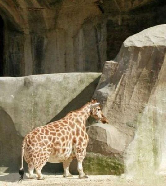 morning picdump 54 pics 14.html - 54 HD Photos | Premium Gallery 2012