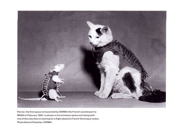 morning picdump 54 pics 14.html - 54 HD Photos | Premium Gallery 2012