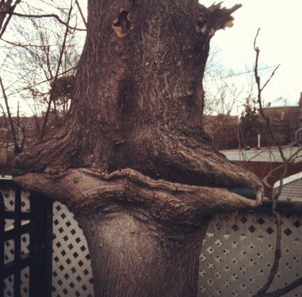 morning picdump 54 pics 14.html - 54 HD Photos | Premium Gallery 2012