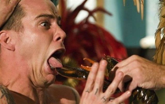Daily Picdump