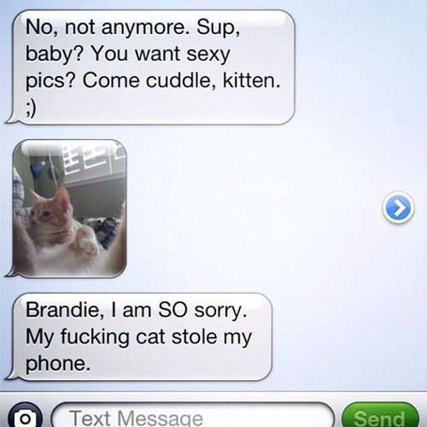Daily Picdump