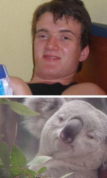 Daily Picdump