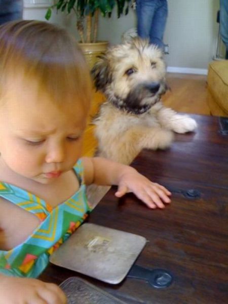 daily picdump 85 pics 21.html - 85 HD Photos | Premium Gallery 2012
