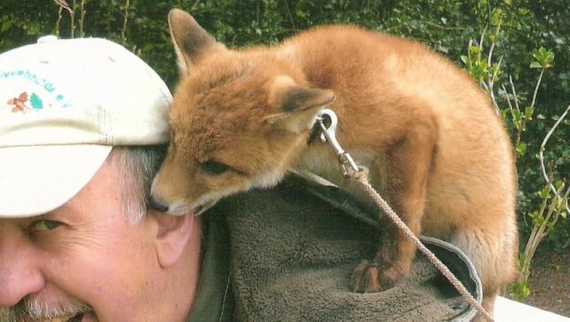 daily picdump 85 pics 21.html - 85 HD Photos | Premium Gallery 2012