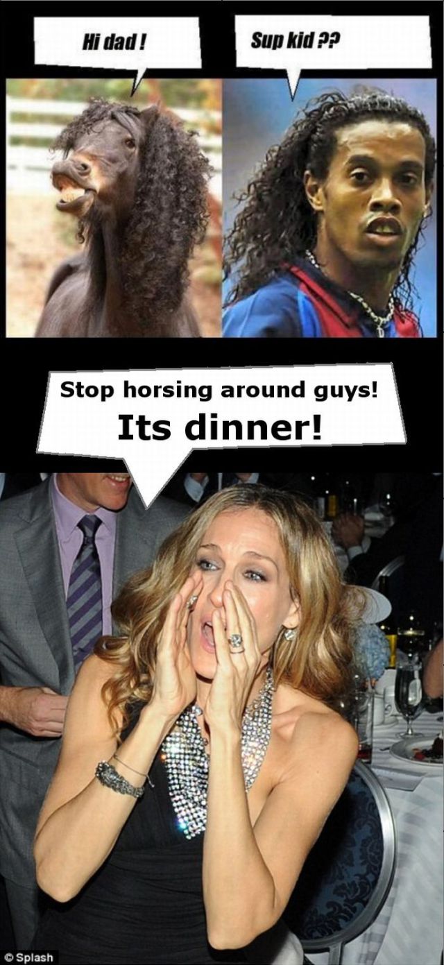 Daily Picdump