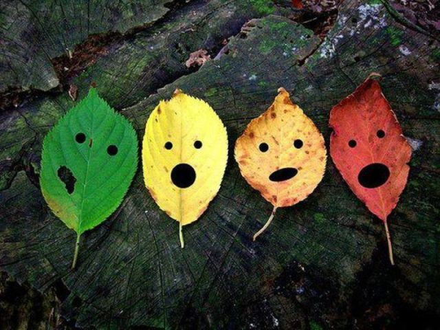 morning picdump 52 pics 20.html - 52 HD Photos | Premium Gallery 2012