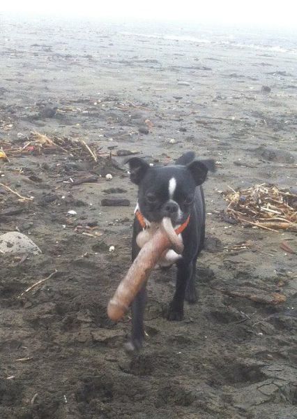 morning picdump 53 pics 21.html - 53 HD Photos | Premium Gallery 2012