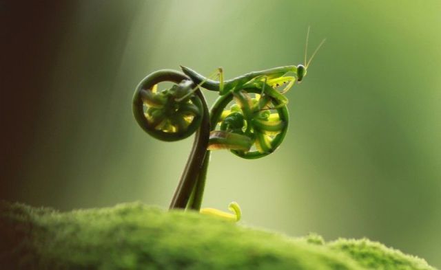 morning picdump 57 pics 5.html - 57 HD Photos | Premium Gallery 2012