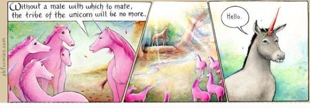 morning picdump 57 pics 5.html - 57 HD Photos | Premium Gallery 2012