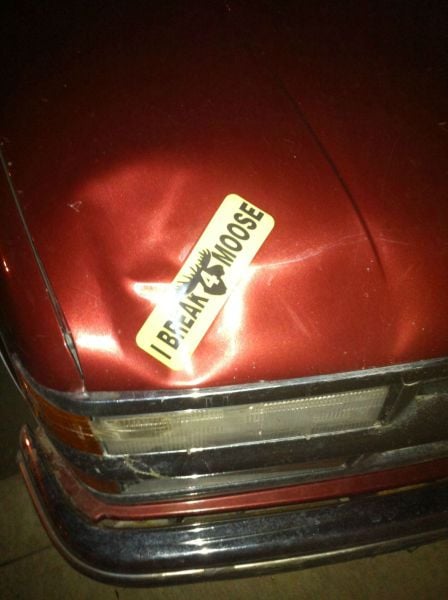 morning picdump 50 pics 45.html - 50 HD Photos | Premium Gallery 2012