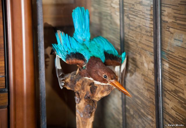 Abandoned Hotel in Japan