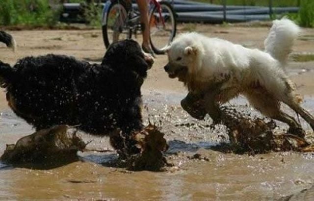 morning picdump 51 pics 16.html - 51 HD Photos | Premium Gallery 2012