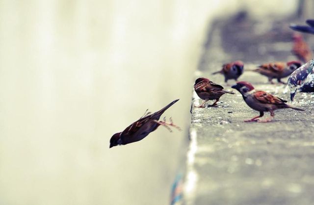 morning picdump 53 pics 12.html - 53 HD Photos | Premium Gallery 2012