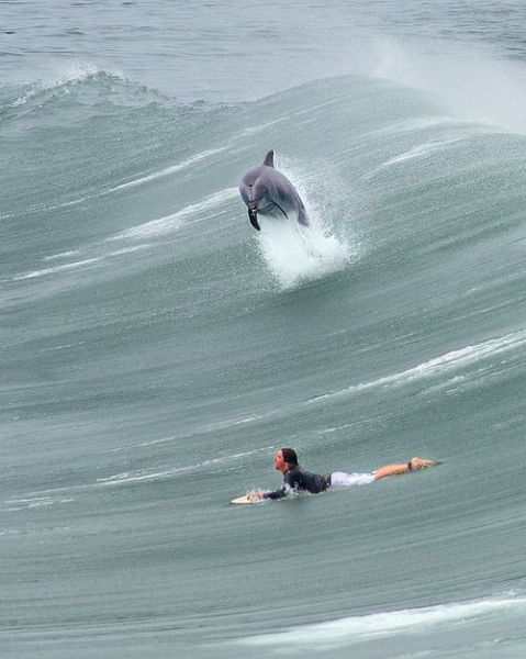 morning picdump 53 pics 12.html - 53 HD Photos | Premium Gallery 2012