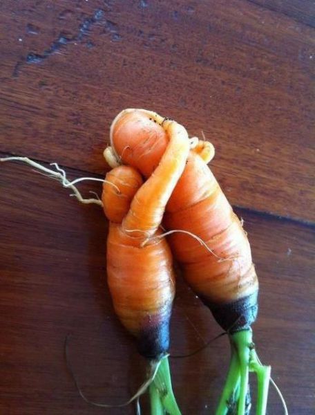 morning picdump 53 pics 12.html - 53 HD Photos | Premium Gallery 2012