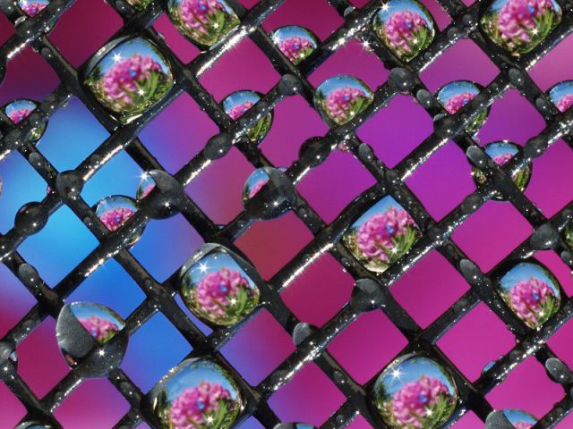 morning picdump 53 pics 12.html - 53 HD Photos | Premium Gallery 2012