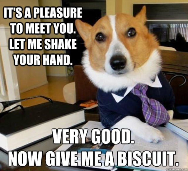 The Hilarious Lawyer Dog Meme