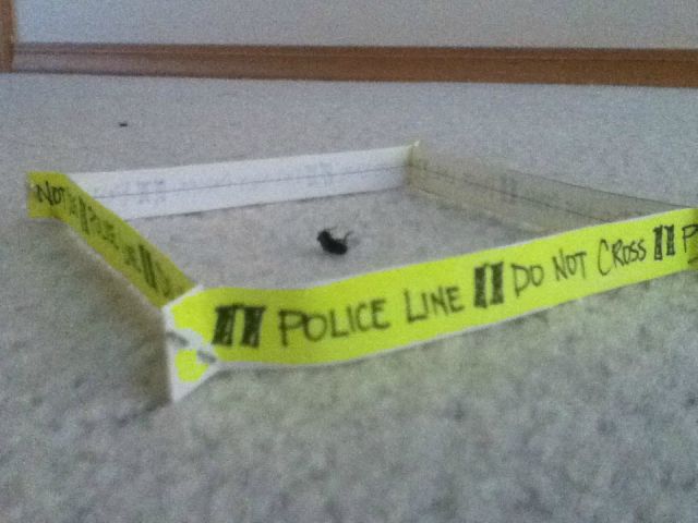 morning picdump 62 pics 9.html - 62 HD Photos | Premium Gallery 2012