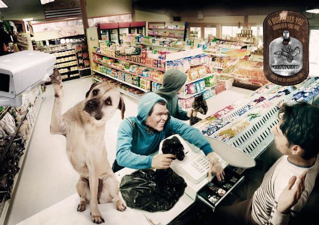 morning picdump 62 pics 9.html - 62 HD Photos | Premium Gallery 2012