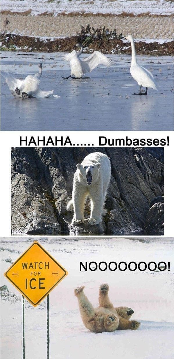 morning picdump 50 pics 8.html - 50 HD Photos | Premium Gallery 2012