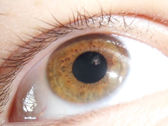 daily picdump 90 pics 33.html - 90 HD Photos | Premium Gallery 2012