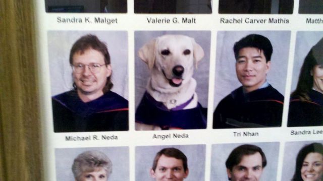 daily picdump 90 pics 33.html - 90 HD Photos | Premium Gallery 2012