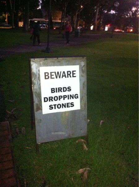 morning picdump 55 pics 16.html - 55 HD Photos | Premium Gallery 2012