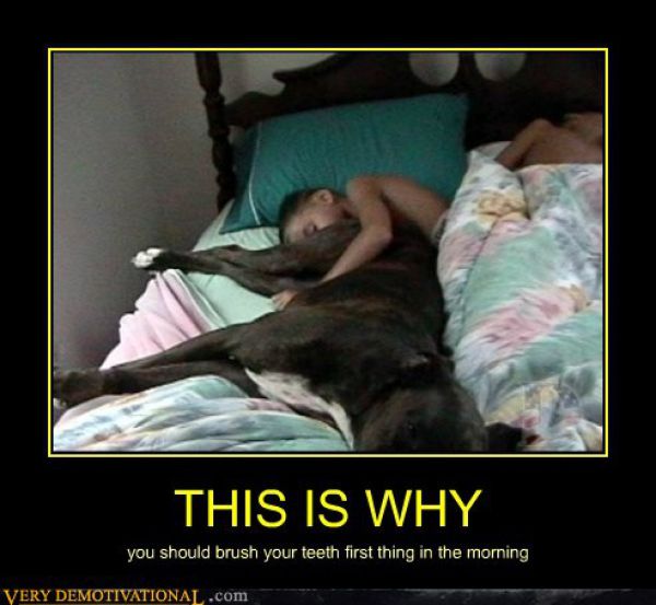 Demotivators Picdump