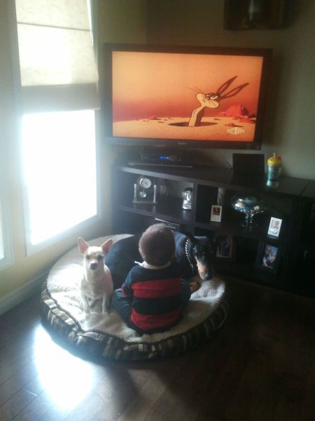 morning picdump 52 pics 20.html - 52 HD Photos | Premium Gallery 2012