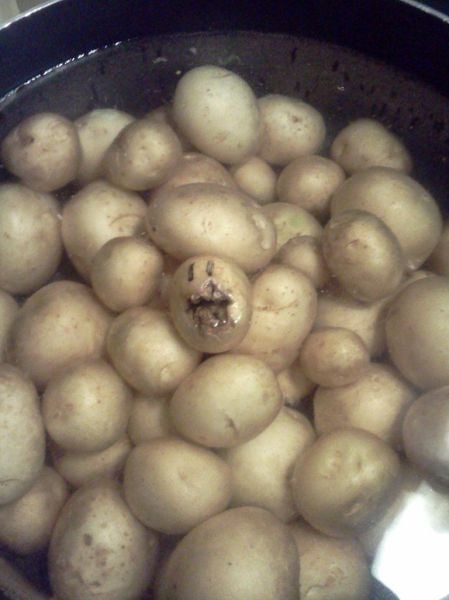 morning picdump 52 pics 20.html - 52 HD Photos | Premium Gallery 2012