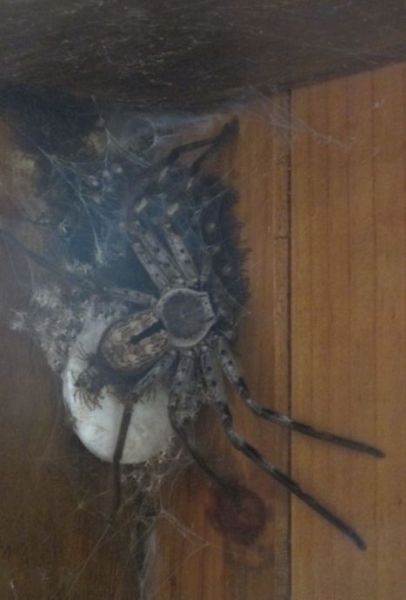 daily picdump 96 pics 31.html - 96 HD Photos | Premium Gallery 2012