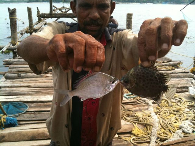 daily picdump 96 pics 31.html - 96 HD Photos | Premium Gallery 2012