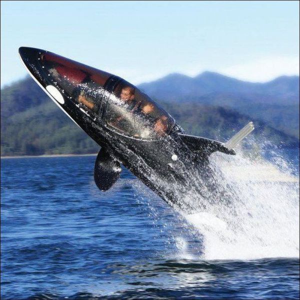 daily picdump 96 pics 31.html - 96 HD Photos | Premium Gallery 2012