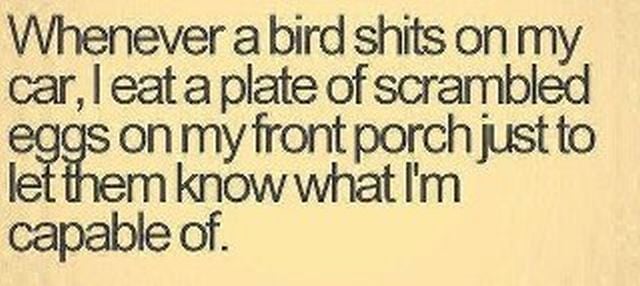 daily picdump 96 pics 31.html - 96 HD Photos | Premium Gallery 2012