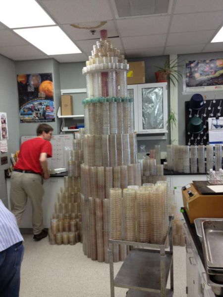 morning picdump 52 pics 24.html - 52 HD Photos | Premium Gallery 2012