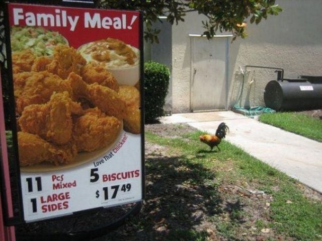 daily picdump 93 pics 33.html - 93 HD Photos | Premium Gallery 2012