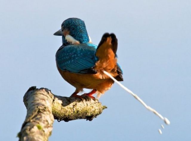 daily picdump 93 pics 33.html - 93 HD Photos | Premium Gallery 2012