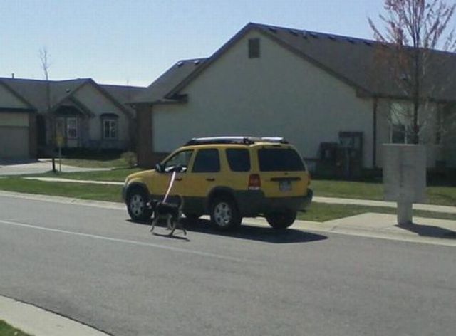 morning picdump 53 pics 12.html - 53 HD Photos | Premium Gallery 2012