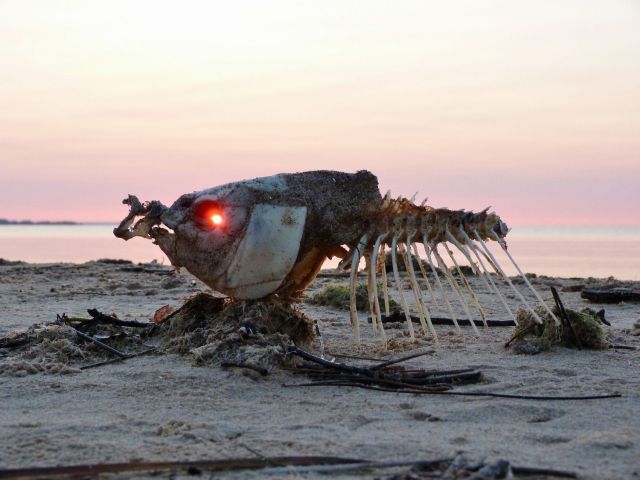 morning picdump 53 pics 12.html - 53 HD Photos | Premium Gallery 2012