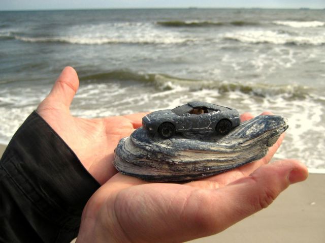 morning picdump 53 pics 12.html - 53 HD Photos | Premium Gallery 2012