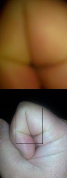 morning picdump 53 pics 12.html - 53 HD Photos | Premium Gallery 2012