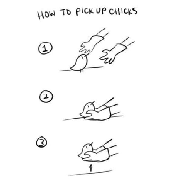 morning picdump 50 pics 2.html - 50 HD Photos | Premium Gallery 2012