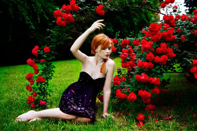Drop Dead Gorgeous Redheads